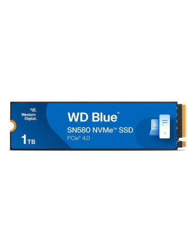 Western Digital-WDS100T3B0E
