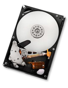 HGST-HUA722050CLA330-RFB