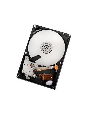 HGST-HUA722020ALA330-RFB