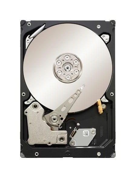 Seagate-ST31000524NS-RFB