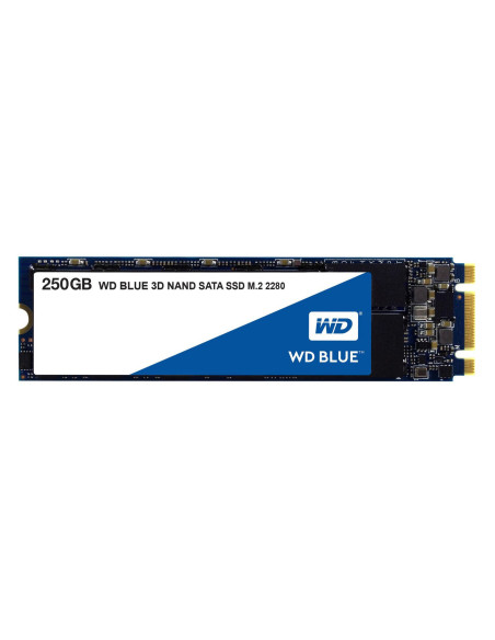 Western Digital-WDS250G2B0B