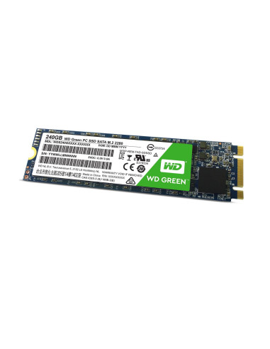 Western Digital-WDS240G1G0B