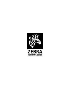 Zebra-105934-053