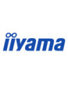 IIYAMA