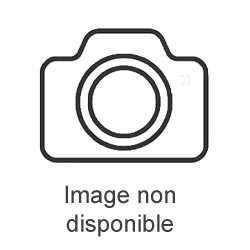 Écoutez en toute liberté avec le Veho STIX II Pro True...